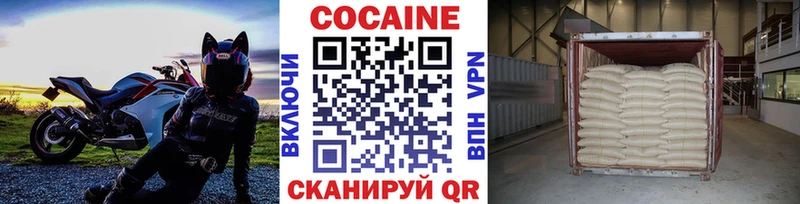 наркота  Сальск  сайты даркнета клад  COCAIN FishScale 