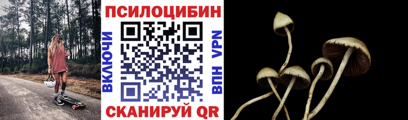 Галлюциногенные грибы мухоморы  продажа наркотиков  Сальск 
